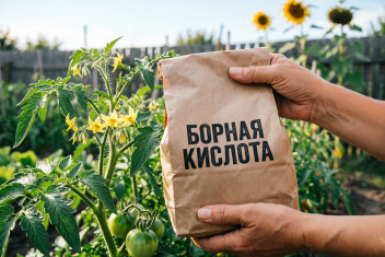 Тематическое фото Создано при помощи ИИ
