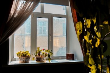 Тематическое фото ИА SochiMedia