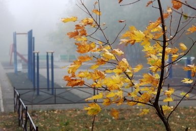 Каким будет сентябрь в России Сергей Бумагин, ИА Stavropol.Media