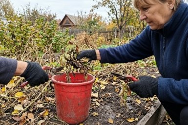 Тематическое фото сгенерировано при помощи ИИ